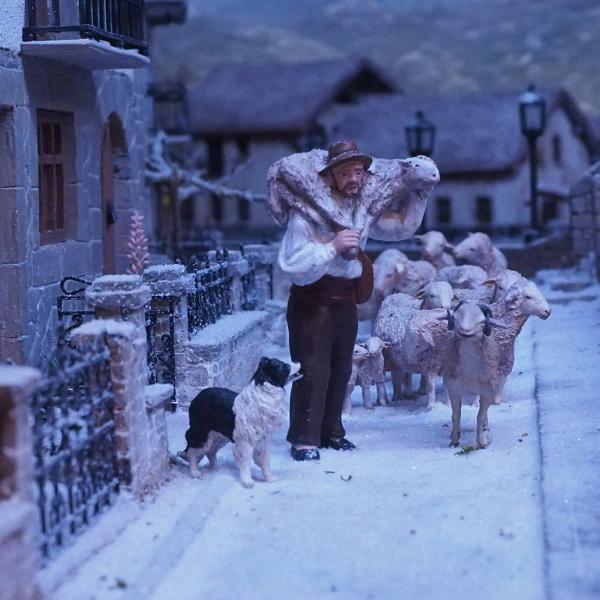 Pastor con ovejas en Ochagavía nevado
