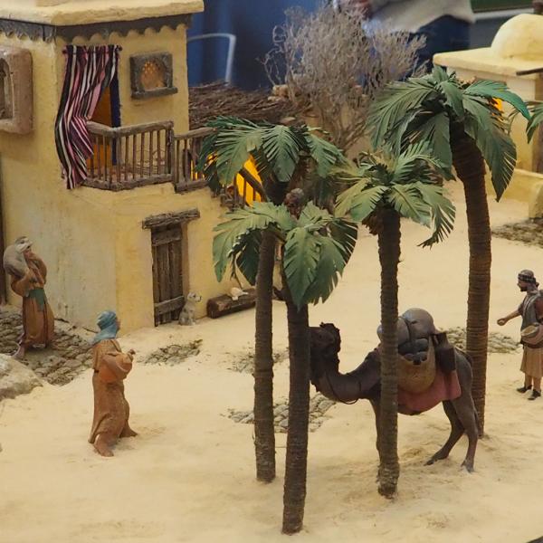 Camello junto a las palmeras