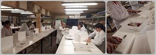 Grupo de los lunes de Iniciación
