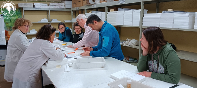 Cursos Belenismo 2024