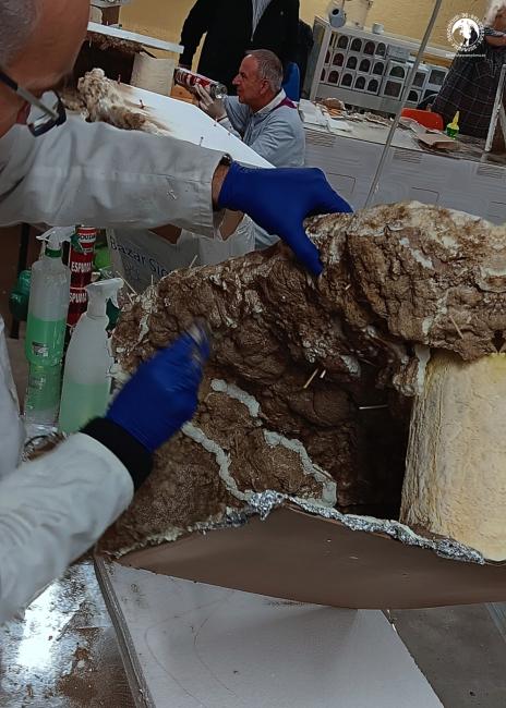 Monográfico Cueva con voladizo, Lola Temprado