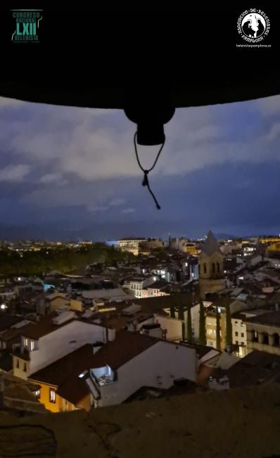 Visita nocturna Catedral de Pamplona